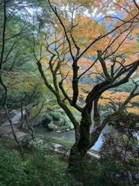 待ちナビ　しょう