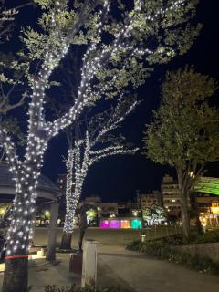 JaPON　環菜ｶﾝﾅ