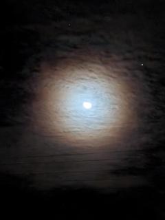 鹿児島ちゃんこ薩摩川内店　こむぎ