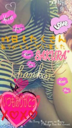 MICHELIN ミシュラン　サクラSakura