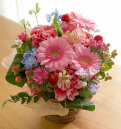 キャンディ　マユミ