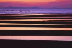 人妻24時　しずく