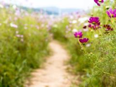 Spica(すぴか)　★かおる★電撃移籍入店決定！