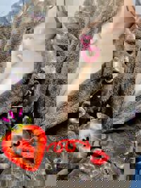 Relaxation spa Clover リラクゼーションスパ クローバー　ミオ★Mio