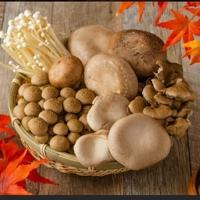 待ちナビ(福岡市) みゆ