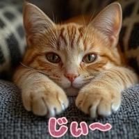 待ちナビ　ひろか