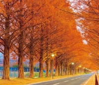 待ちナビ　まお