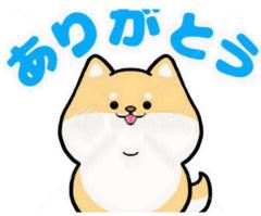 CLUB LUMINE　Haru【ハル】