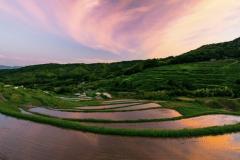 人妻24時　しずく