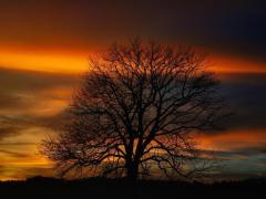 Spica(すぴか)　★かおる★電撃移籍入店決定！