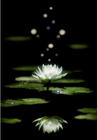 待ちナビ　こゆき