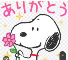 CLUB LUMINE　Haru【ハル】