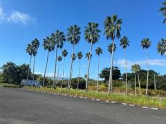 Spica(すぴか)　新★ウル★完全業界初激かわ