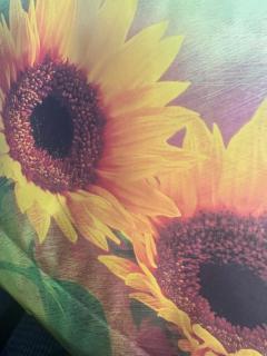 MANIN-ONREIマン淫御礼　美々（みみ）極嬢美人