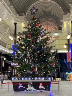 CLUB LUMINE　Haru【ハル】