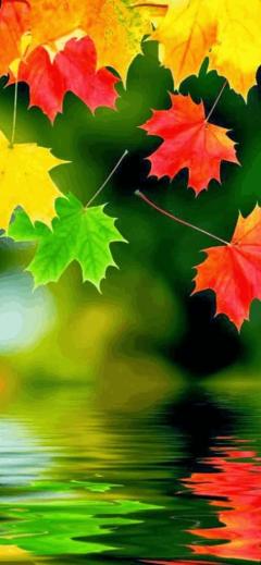 人妻ステーションポータブル　なつこ