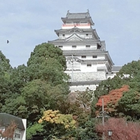 待ちナビ　にこ