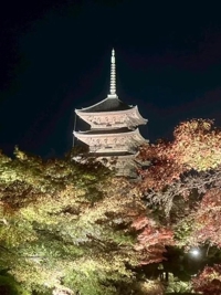 待ちナビ　れみか