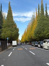 待ちナビ　しょう