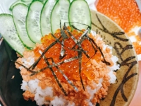 宮崎ちゃんこ都城店　くぅ