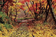 一夜の愛人　もか