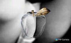 鶴富屋敷 ヒナ、(癒しの女王)