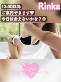 MICHELIN ミシュラン　リンカRINKA