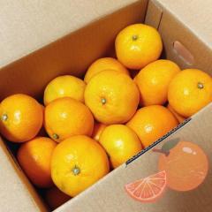 CLUB LUMINE　Mashiro【ましろ】