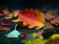 Spica(すぴか)　★かおる★電撃移籍入店決定！