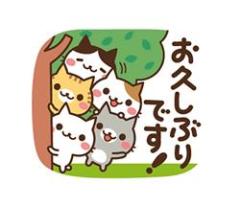 キャンディ(鹿児島市) ルル