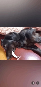 待ちナビ　せいこ