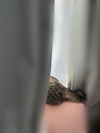 TheGrandPhoenix　澪夏※伝説クラスのSSS級美女