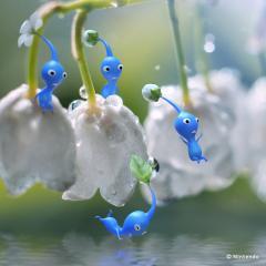  かなえ〜正真正銘セラピスト〜