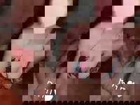 LOHAS(ロハス)　りん