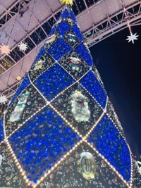 待ちナビ　らん