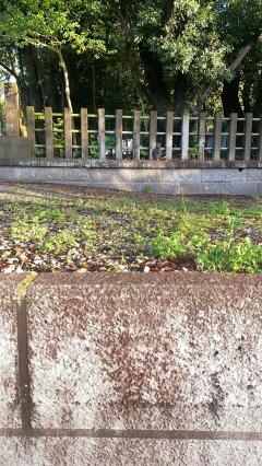 朝からエッチな気分笑笑