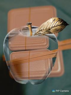 鶴富屋敷　ヒナ、(癒しの女王)