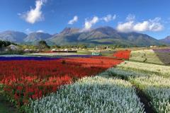 一夜の愛人　もか