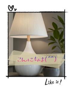 JaPON　新人真子ﾏｺ