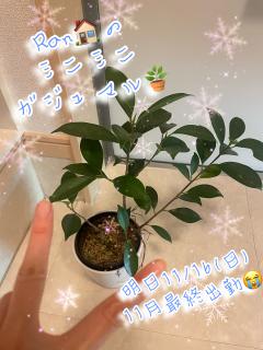 リラクゼーションDOLCEokinawa　【ゆな】