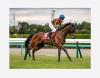 鹿児島ちゃんこ 霧島店　うい