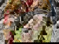 大人の遊園痴「スピーディー」　りつ（敏感で癒し系）