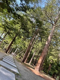 amazing（アメイジング）　るい❀