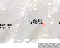 宮崎ちゃんこ中央通店　ここあ