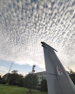 来夢来人大分店(大分市) 夏（なつ）新人奥様