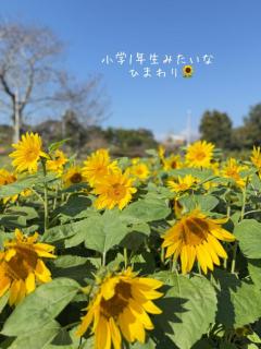 ラブ♡エル　♡ユリア♡