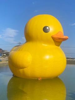 ぷにっ娘　紗子ｻｴｺ