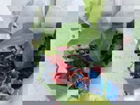 大人の遊園痴「スピーディー」　りつ（敏感で癒し系）