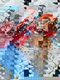 大人の遊園痴「スピーディー」(宮崎市) らむ（全てに興味あり）