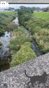 宮崎ちゃんこ都城店　こはる